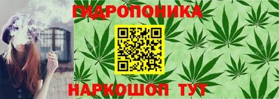 не бодяженный Гай