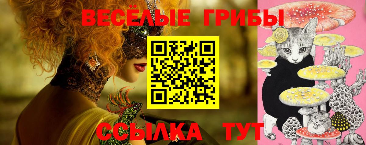Псилоцибиновые грибы MAGIC MUSHROOMS  Вход с VPN  закладка  Гудермес 